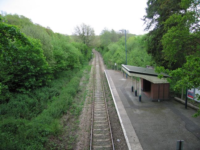 St Keyne from the bridge