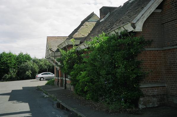 Trimley rear, with shrubs