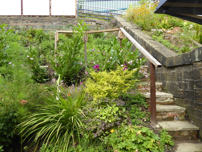 Westhoughton platform 1 garden steps