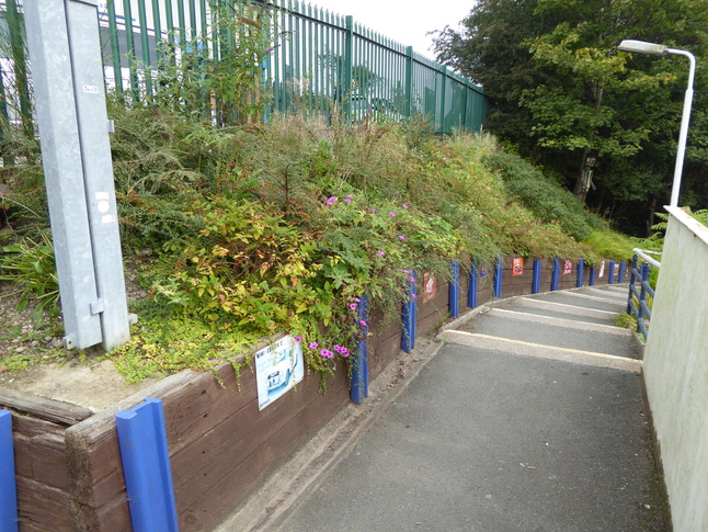 Westhoughton platform 1 steps