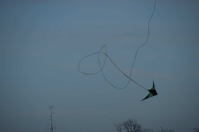 DSC_0666