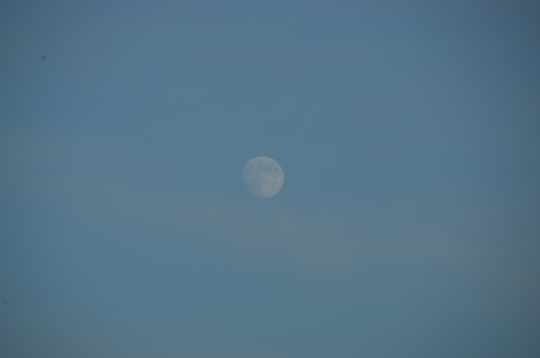 DSC_0587