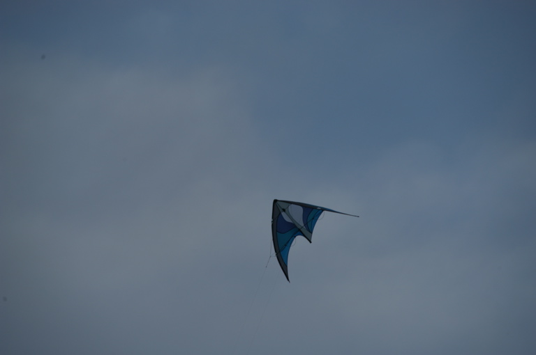 DSC_0589