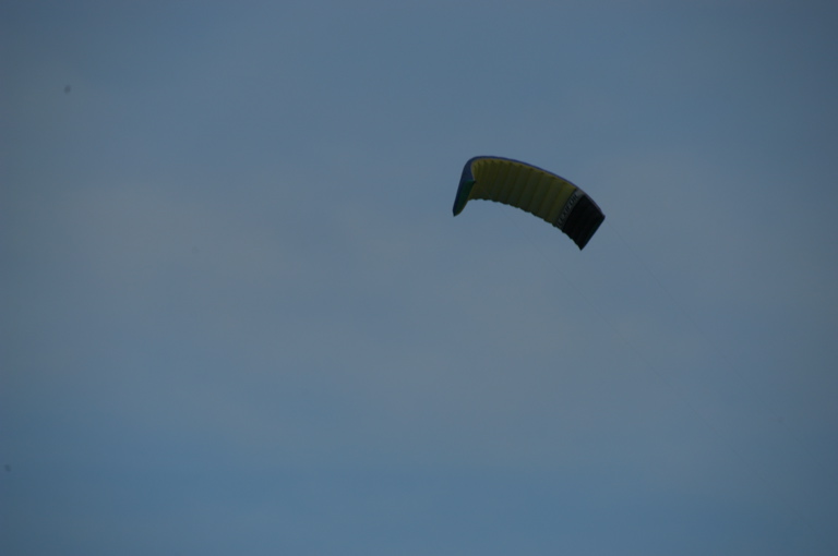 DSC_0591