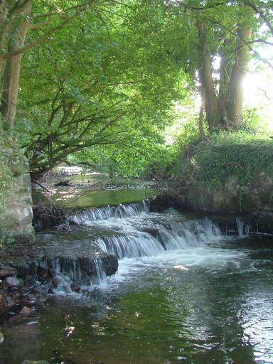 Knowle 2004