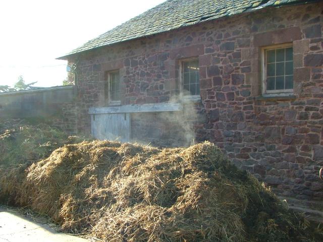 Knowle 2004