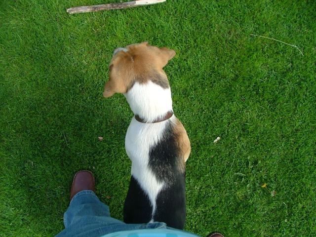 Knowle 2004