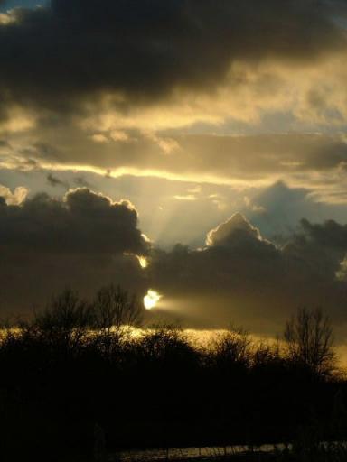 Wicken Fen, 24th January 2004