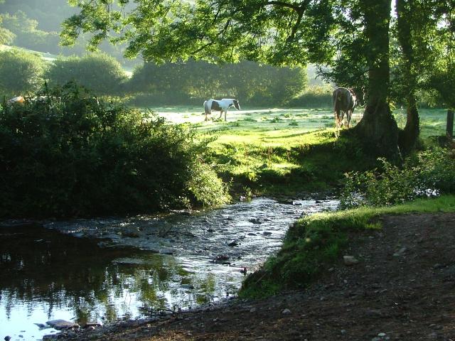 Knowle 2004