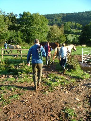 Knowle 2004
