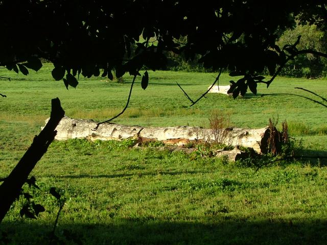 Knowle 2004