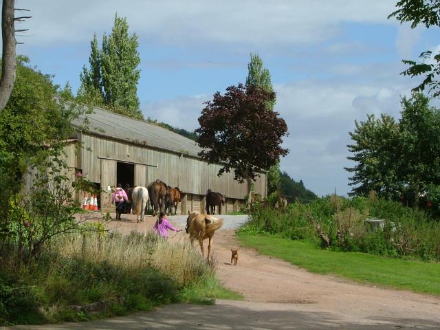 Knowle 2004