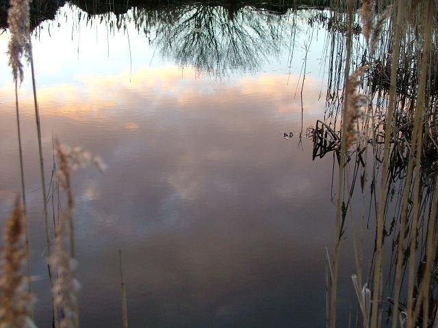 Wicken Fen, 24th January 2004