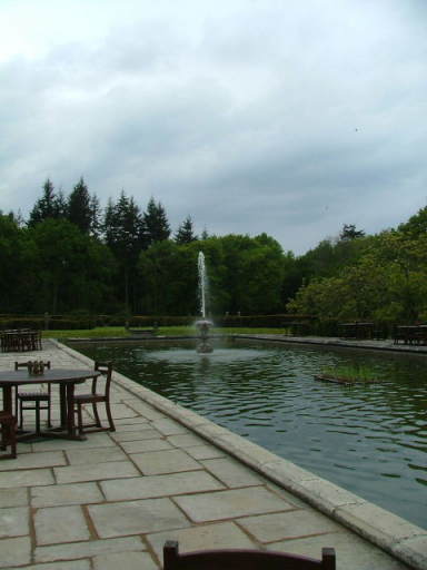 New Forest and Rhinefield House, May 05