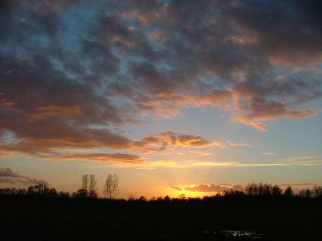 Wicken Fen, 24th January 2004