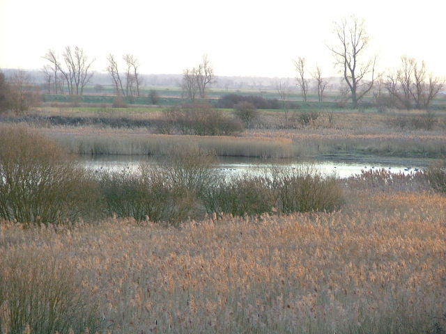 Wicken Fen, 24th January 2004