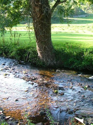 Knowle 2004