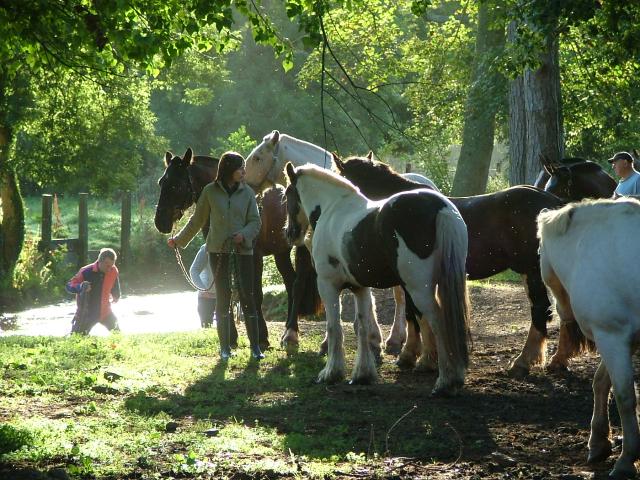 Knowle 2004