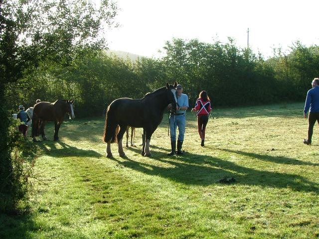 Knowle 2004