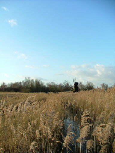 Wicken Fen, 24th January 2004