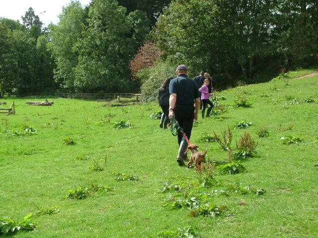 Knowle 2004