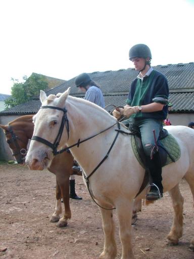 Knowle 2004