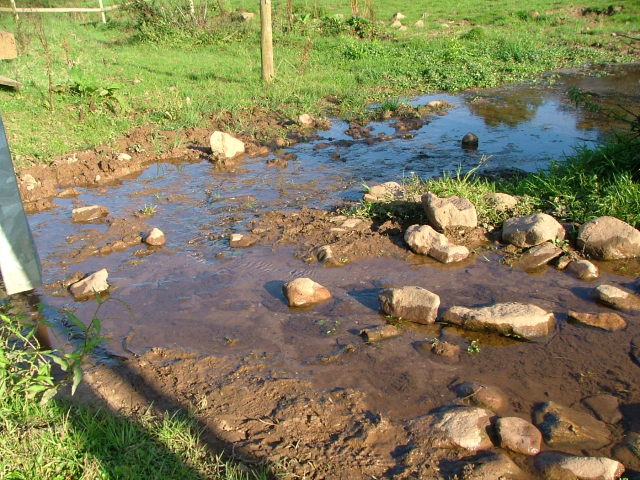 Knowle 2004