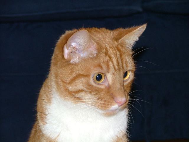 Christmas 2003 - oooh, new camera!