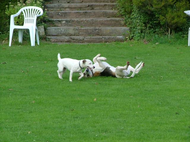 Knowle 2004