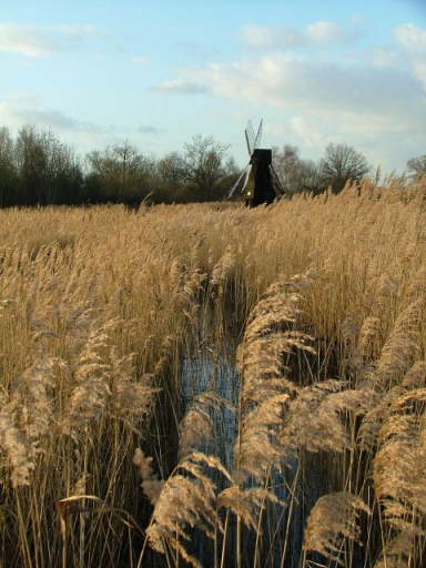Wicken Fen, 24th January 2004