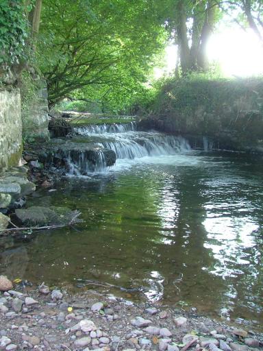 Knowle 2004