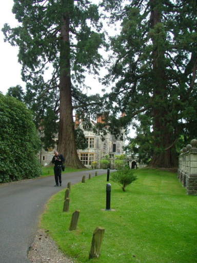 New Forest and Rhinefield House, May 05
