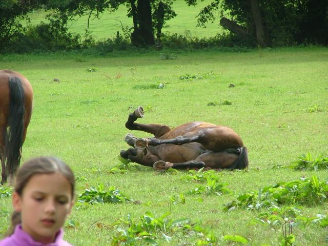 Knowle 2004
