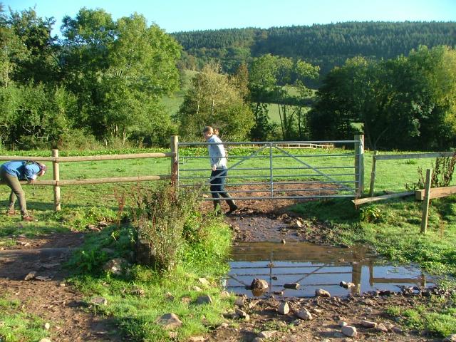 Knowle 2004