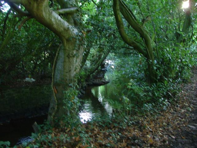 Knowle 2004