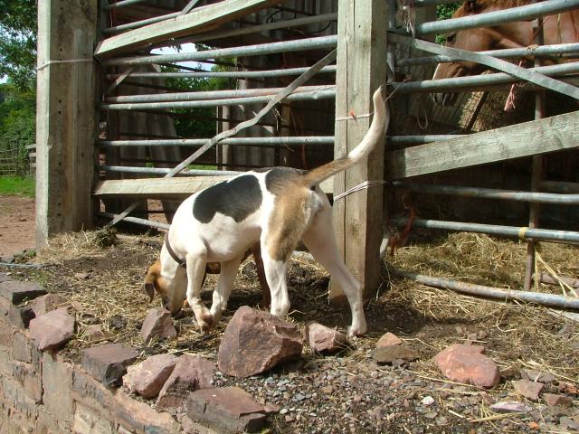 Knowle 2004