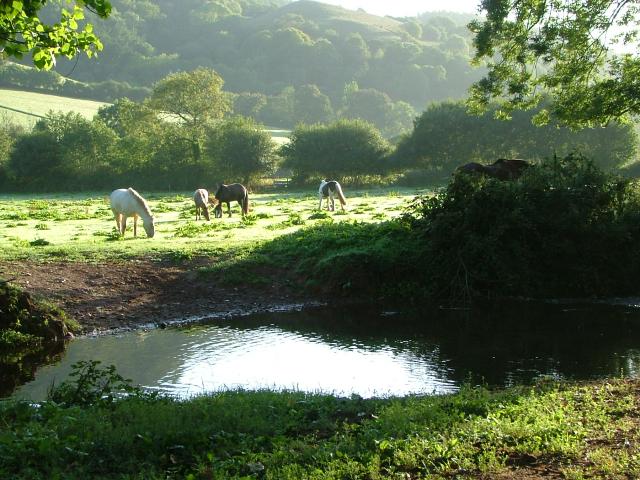 Knowle 2004