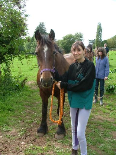 Knowle 2004