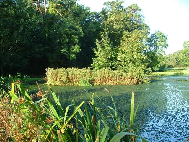 Knowle 2004