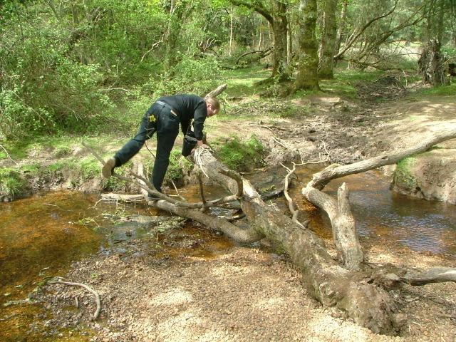 New Forest and Rhinefield House, May 05