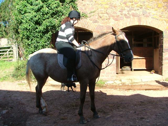 Knowle 2004