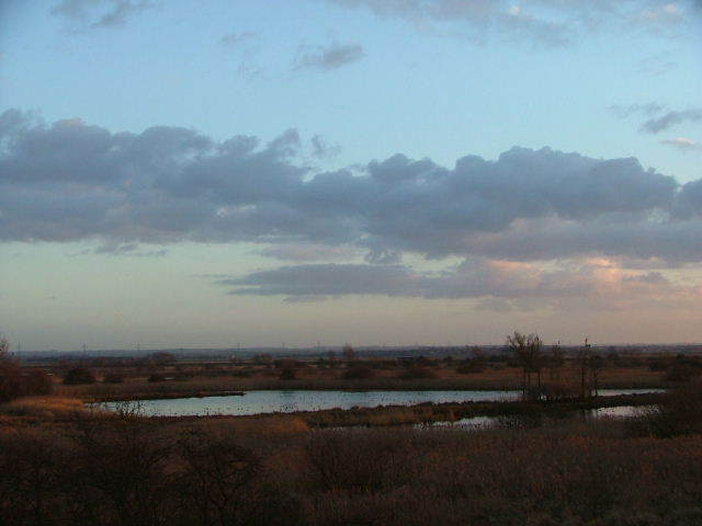 Wicken Fen, 24th January 2004