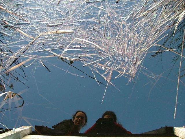 Wicken Fen, 24th January 2004