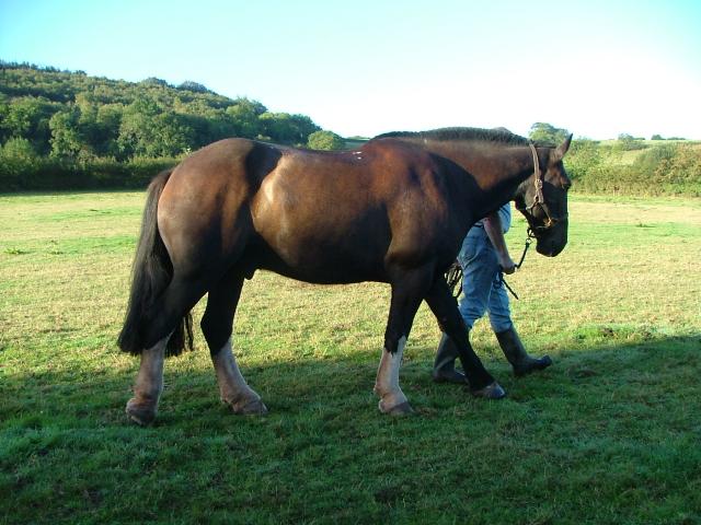 Knowle 2004
