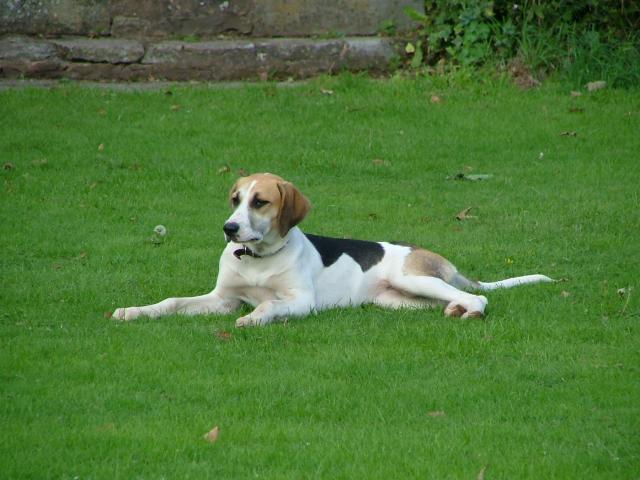 Knowle 2004