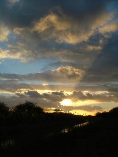 Wicken Fen, 24th January 2004