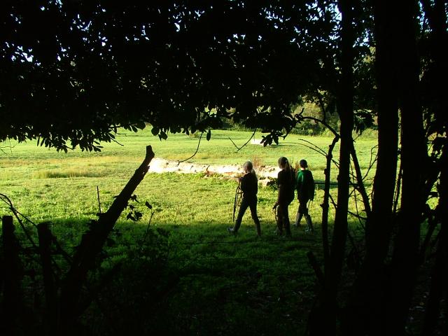 Knowle 2004