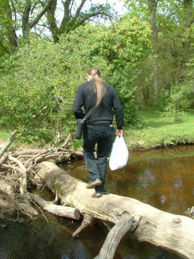 New Forest and Rhinefield House, May 05