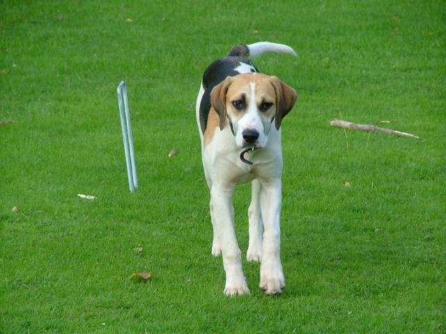 Knowle 2004