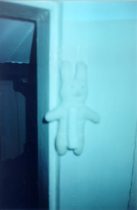 44